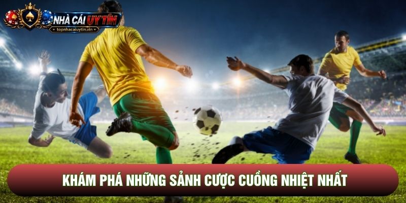 Khám phá những sảnh cược cuồng nhiệt nhất Khám phá những sảnh cược cuồng nhiệt nhất
