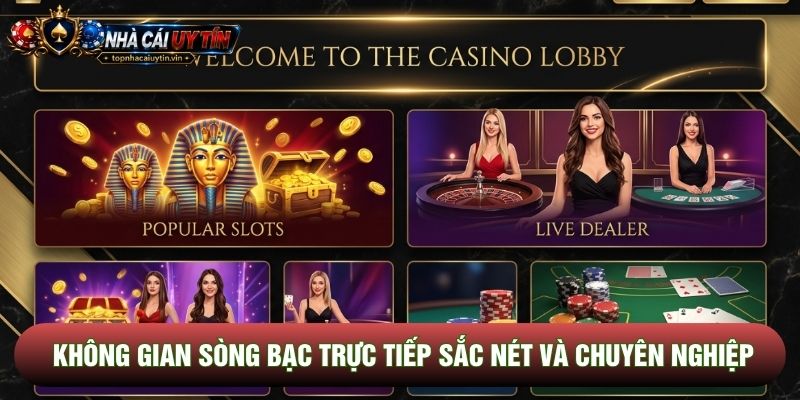 Không gian sòng bạc trực tiếp sắc nét và chuyên nghiệp Không gian sòng bạc trực tiếp sắc nét và chuyên nghiệp